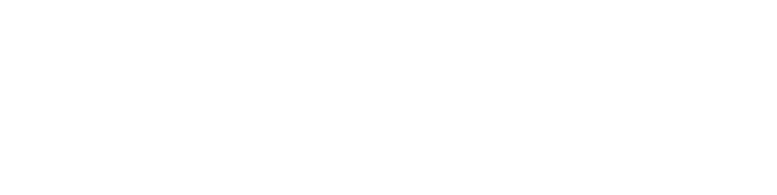 Logo Muzeum Karlova mostu